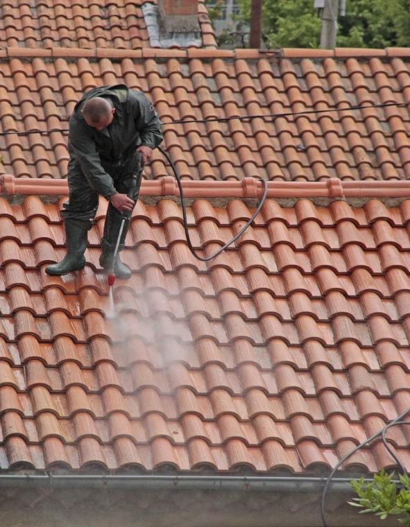 Pourquoi nettoyer sa toiture en Savoie ?